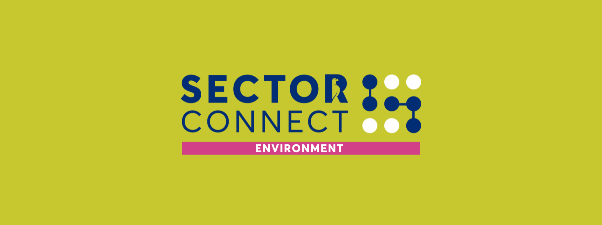 Sector Connect: Environment cover image